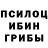 Псилоцибиновые грибы GOLDEN TEACHER King Ston
