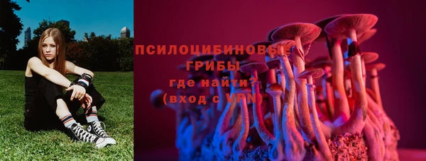дмт Алексеевка