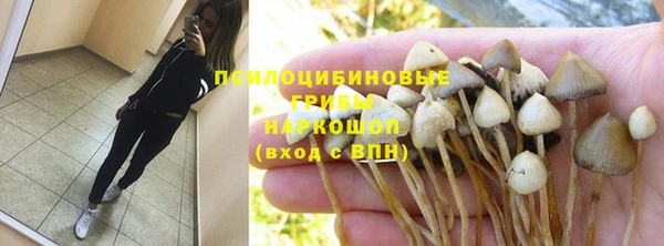 дживик Алзамай