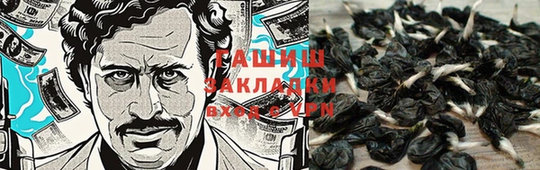 дживик Алзамай