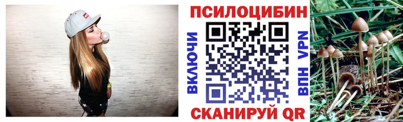 Галлюциногенные грибы мицелий  купить  сайты  Алексеевка 
